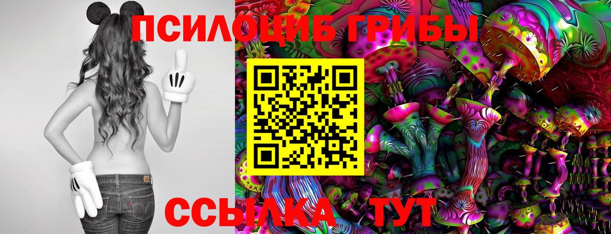 Псилоцибиновые грибы Cubensis  Вход с VPN  Обнинск  Псилоцибиновые грибы Cubensis 